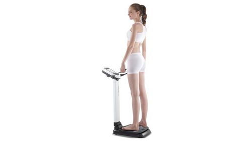 InBody Analyzer (Body Composition Analyzer)